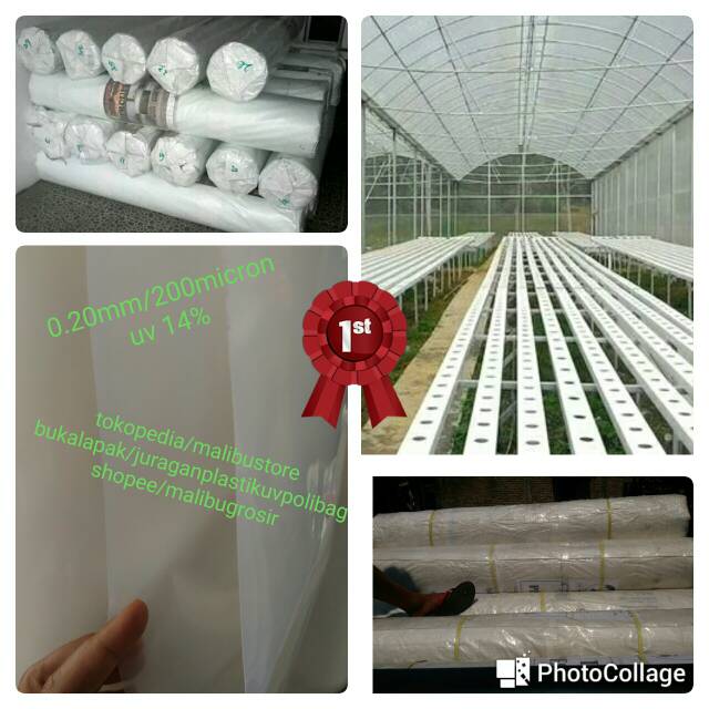 Plastik UV 200 micron lebar 4M