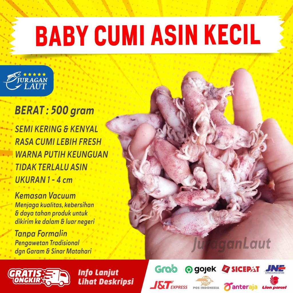 

Cumi Baby Asin Semi Kering Fresh Premium Super (rebus) 500gr size 1 - 4cm (rata2 2-3cm)
