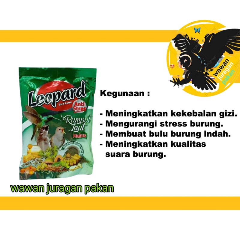 LEOPARD RUMPUT LAUT, VOER LEOPART RUMPUT LAUT anti stres