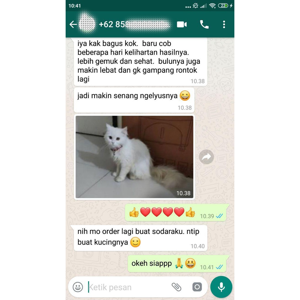 [AB02] MAXCAT VITAMIN LENGKAP PENGGEMUK KUCING PENAMBAH BERAT BADAN NAFSU MAKAN ANTI BODY