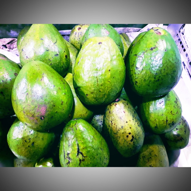 

Alpukat mentega per kilo