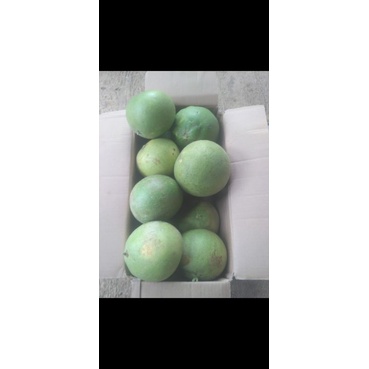 

obral.paket jeruk pamelo 10kg 12biji