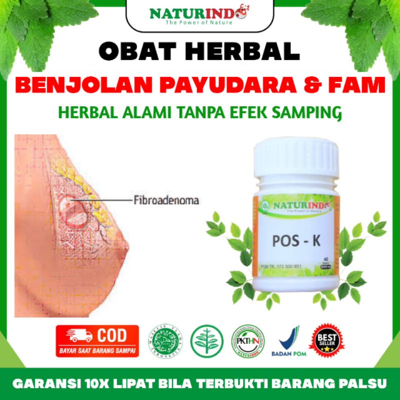 Jual Obat Benjolan Di Leher Payudara Obat Penghilang Benjolan Fam