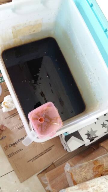 

ADY78 Gula Aren Cair Organik