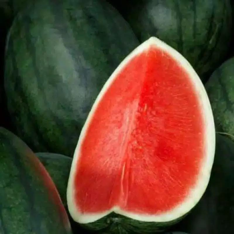 

Semangka Non Biji / Buah Segar