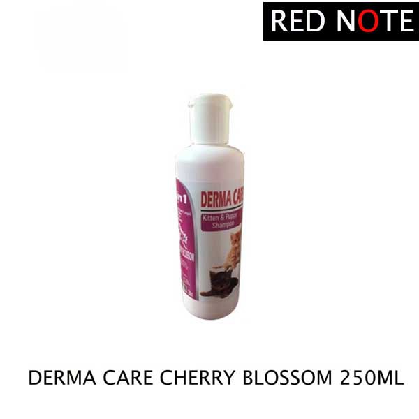 Shampoo DERMA CARE Cherry Blossom 250ml Anti Jamur Kutu