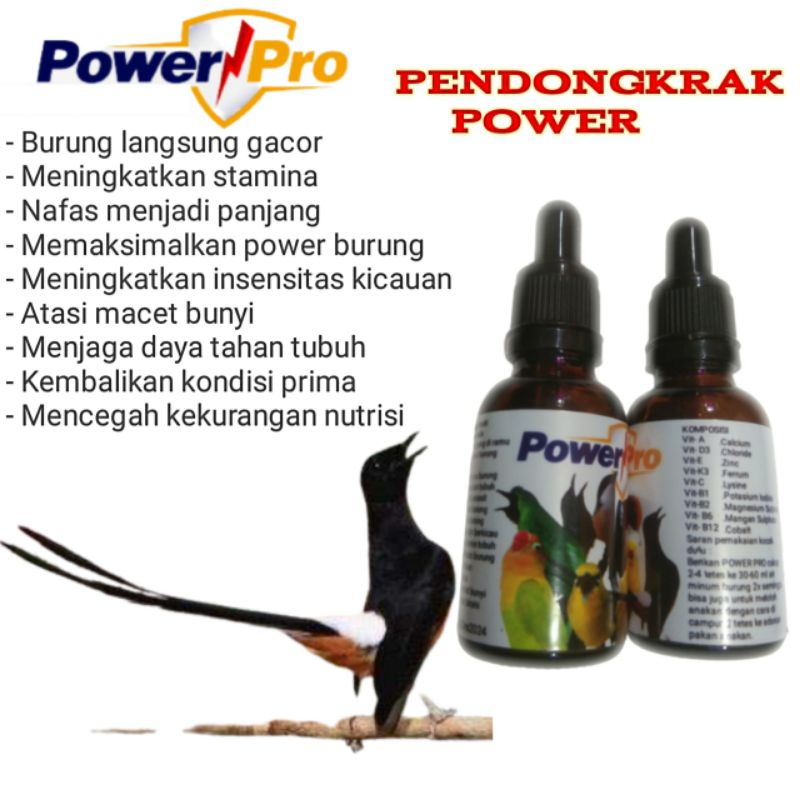 vitamin murai batu penggacor multivitamin suplemen doping penggacor burung