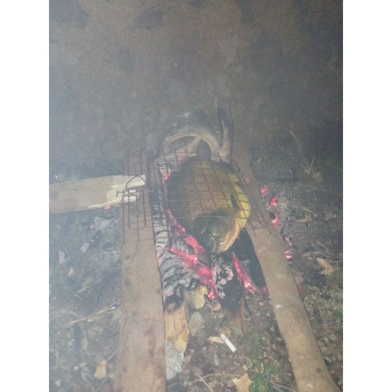 

ikan bakar tutis mantav