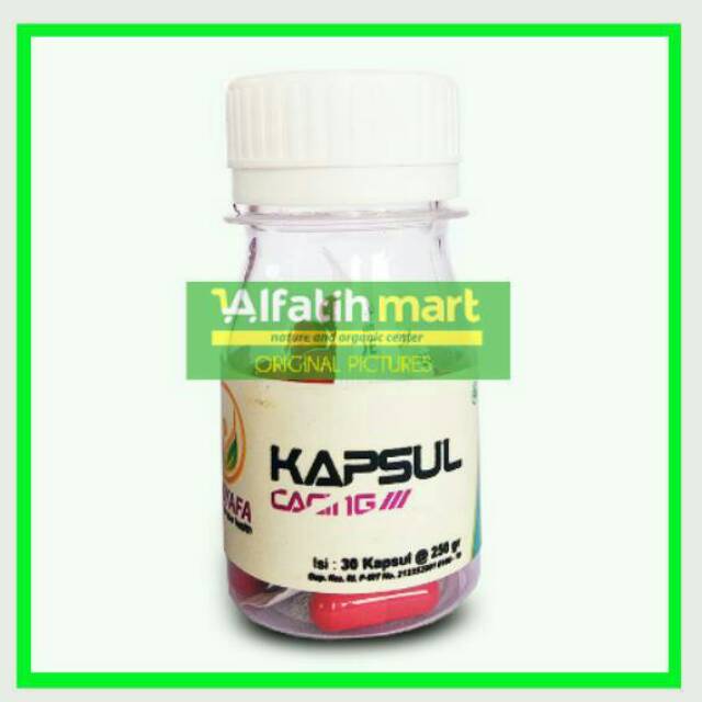 BIOSYAFA KAPSUL CACING PROBIOTIK ISI 30 KAPSUL