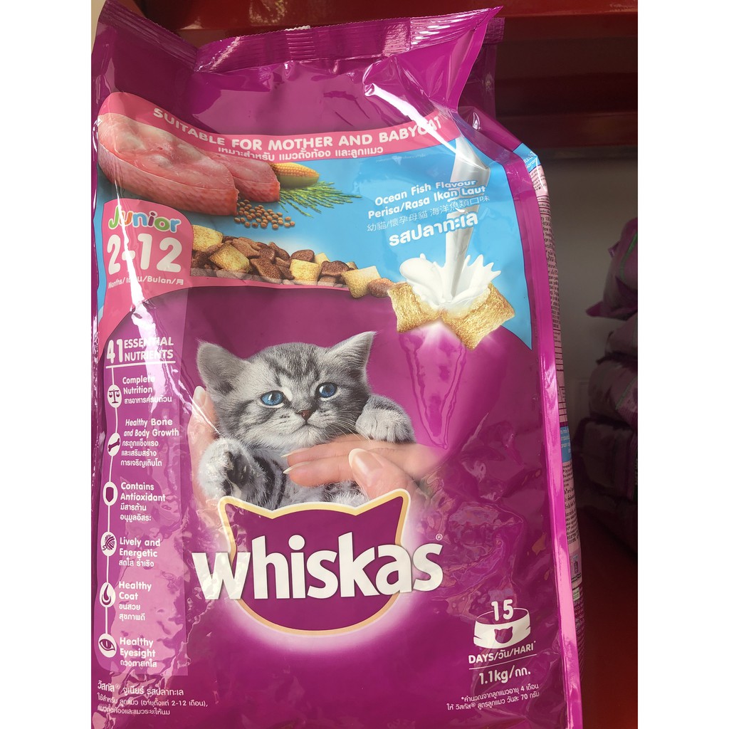 WHISKAS JUNIOR OCEANFISH 1.1KG