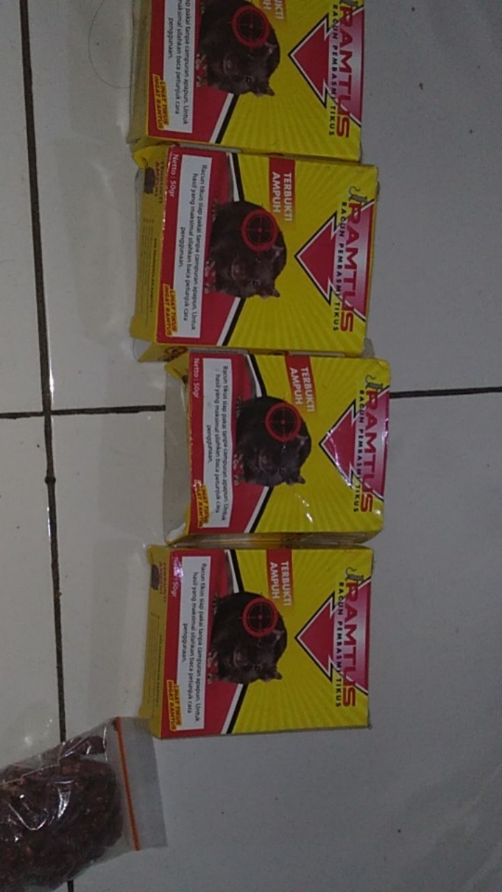 Ramtus Racun Tikus Ampuh Mati Kering Tidak Bau Pembasmi Curut Wirog Mencit Dirumah Di Mobil 4 Pack