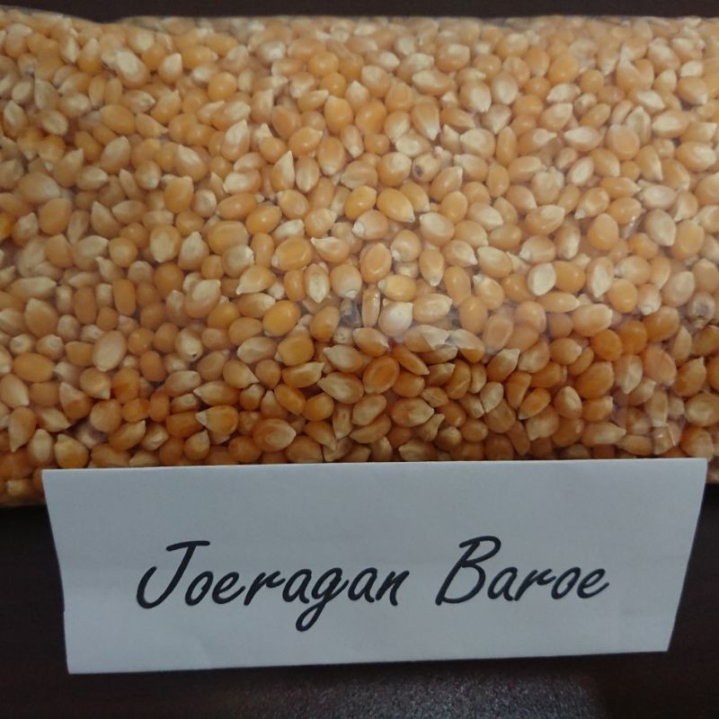 

HG Jagung popcorn jagung amerika jagung beledug 1 kg