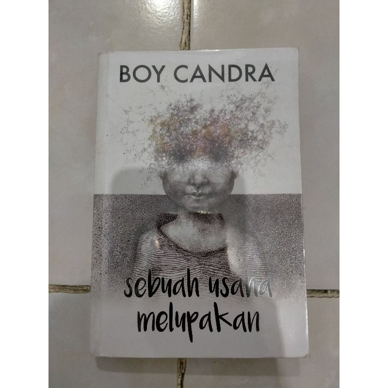 Novel Boy Candra