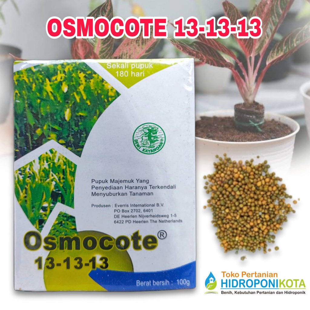 pupuk OSMOCOTE DECASTAR DAUN 17-11-10 - pupuk OSMOCOTE DECASTAR BUAH 6-13-25 - pupuk OSMOCOTE DECASTAR SEIMBANG 13-13-13