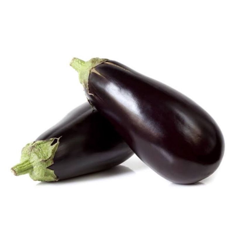

Sayuran buah terong black beauty/Eggplant black