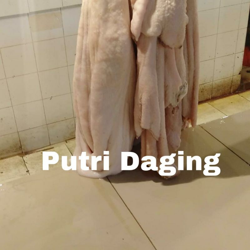 

Babat Putih / Babat fresh