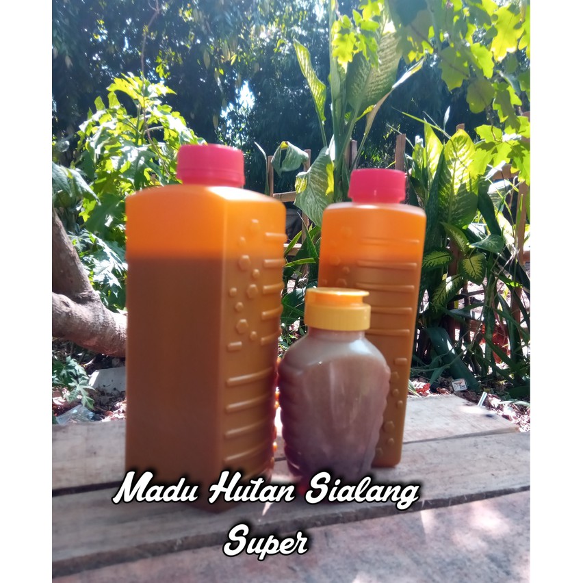 

Madu Sialang Super 1kg - MMD2091