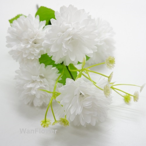 WANFlower Bunga Anyelir X5 * ALL Bonus BabyBreath Promo