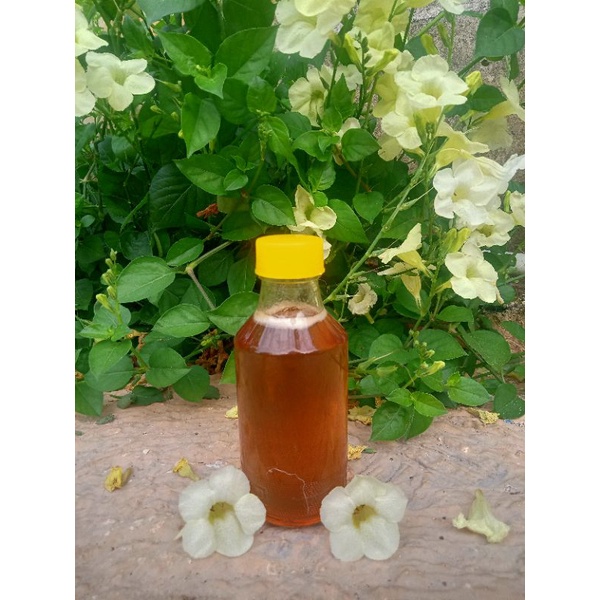 

Madu Ar Rahmat (Madu Murni Kaliandra 140 ml kemasan botol C1000)