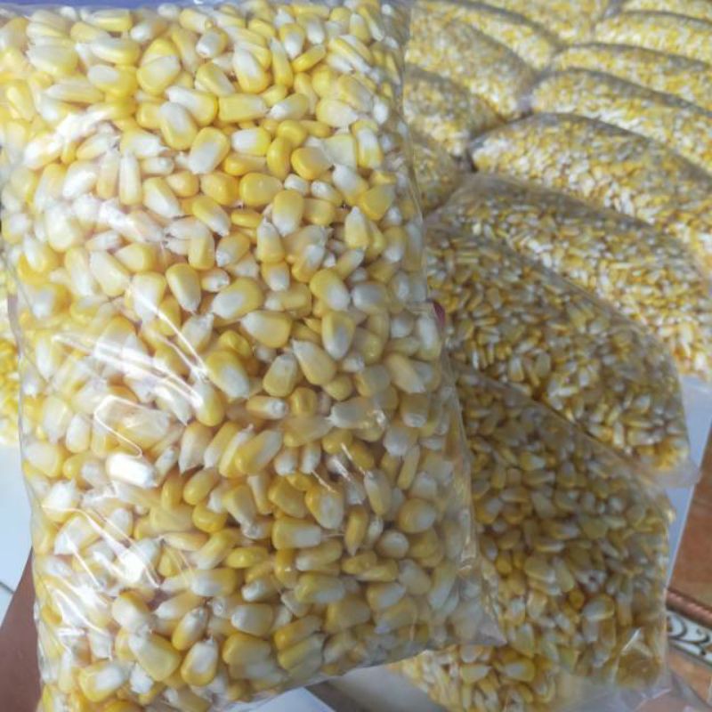 jagung pipil manis 1 kg