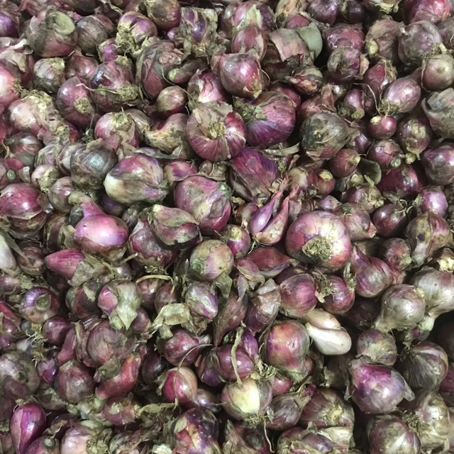 

Bawang merah 250gr