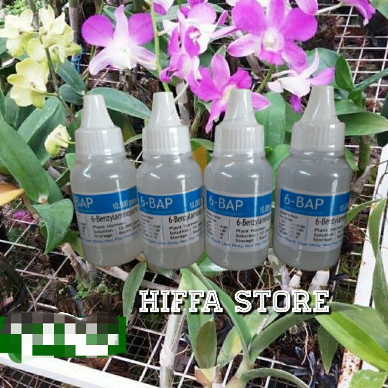 Hormon Anggrek Penumbuh Tunas Keiki 6-BAP Benzyl Amino Purin Murah Irit Pemakaian Bulan Dendrodium