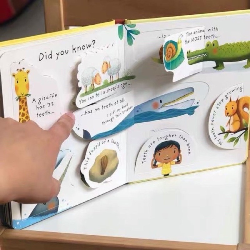 Usborne Lift-the-Flap Very First Q&amp;A - Why Should I Brush My Teeth?