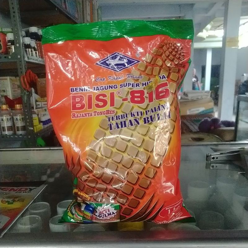 bebih jagung bisi 816 by PT.KAPAL TERBANG