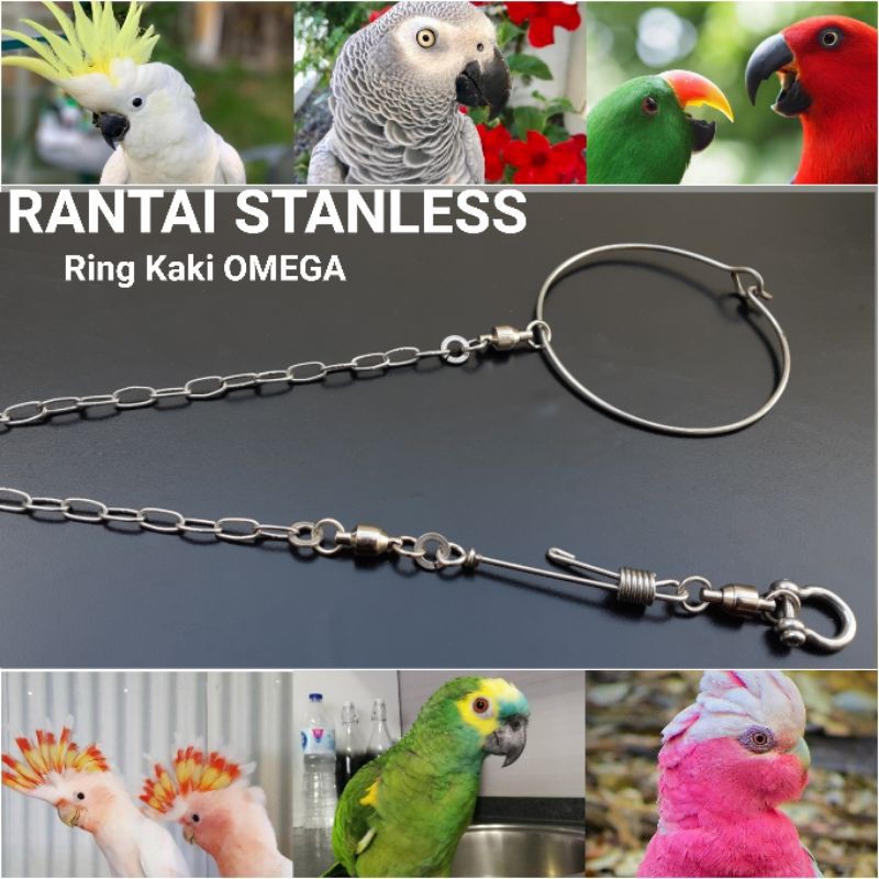 Rantai Afgrey Ring Omega