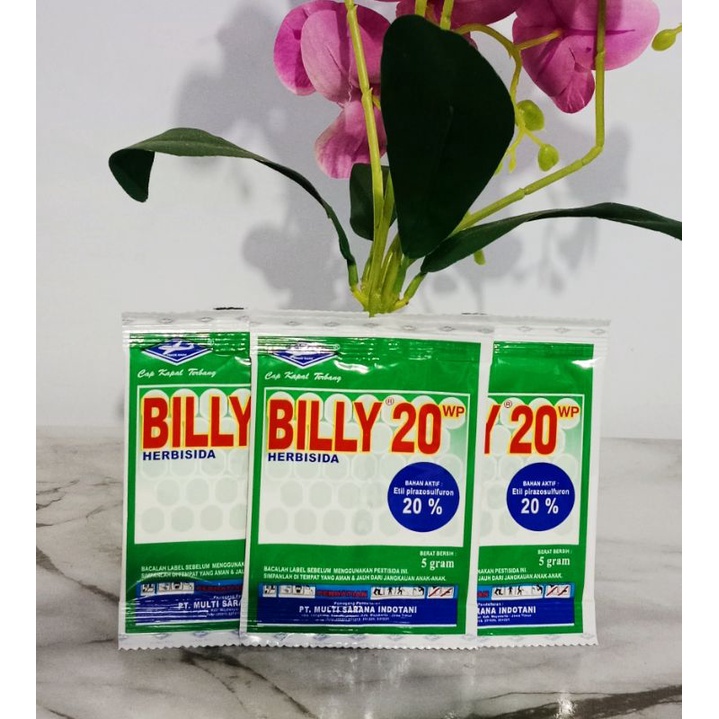 Herbisida Sistemik Billy 20 WP 5 gram