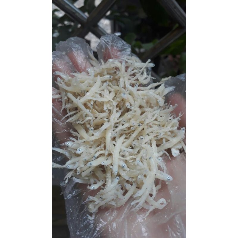 

TERLARIS !! Teri Nasi / Teri Indonasi