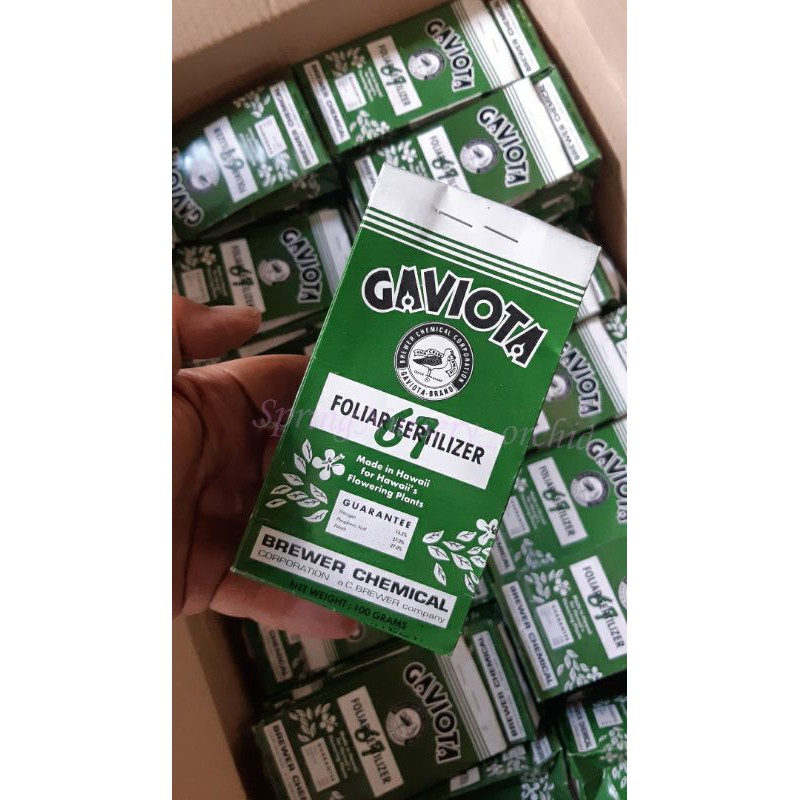 Gaviota 67 (pembungaan) 100gr