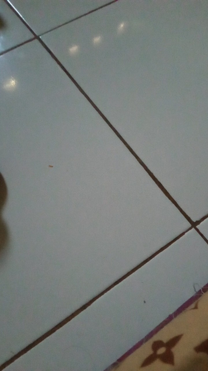 Batu Pembersih Kulit Mati &daki / Batu Asli Batu Kali