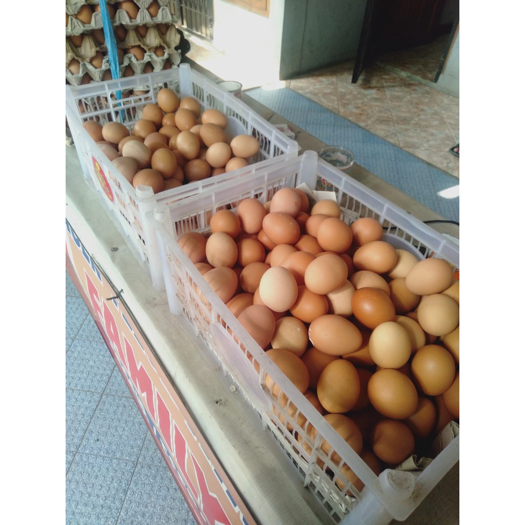

Telur Ayam per kilo