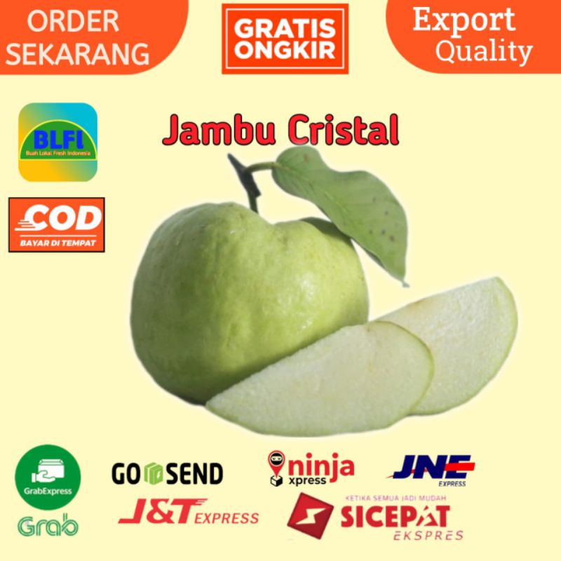 

BUAH JAMBU KRISTAL SUPER JAMBU SEGARRR