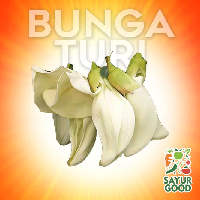 

Bunga Turi / Kembang Turi / Pack (Sayur Segar)