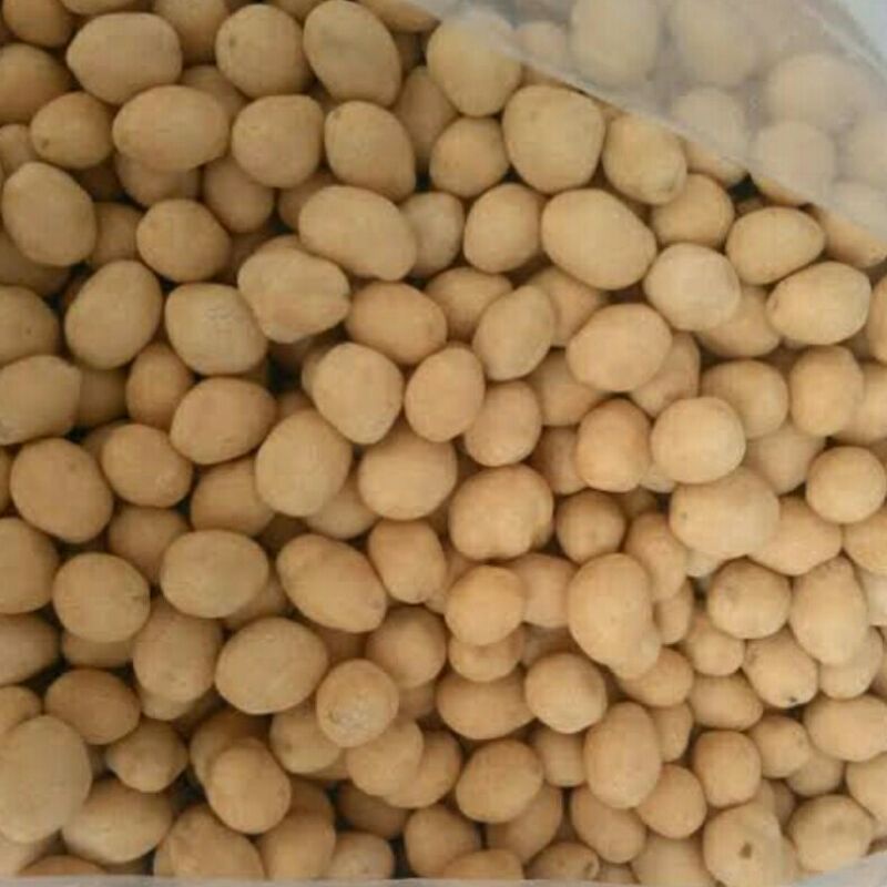 

Kacang telur