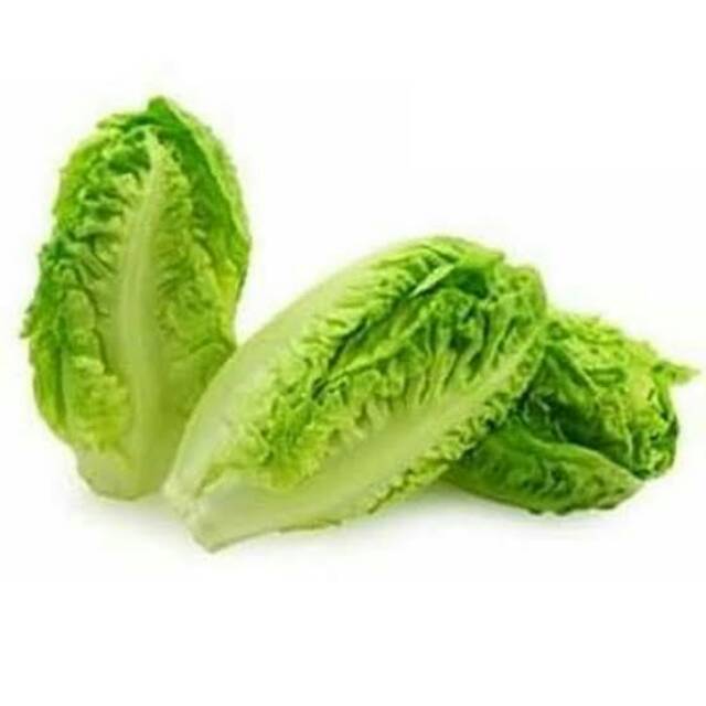 Baby romaine 500gr