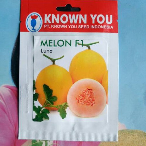 (KEMASAN PABRIK) Melon Golden LUNA