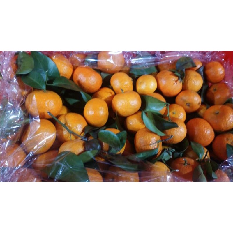 

fromo santang daun 500 gr manis dan segar