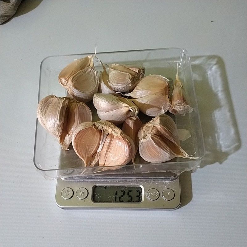 

bawang kating