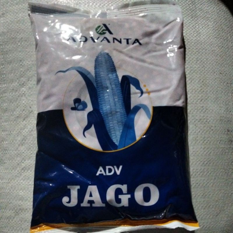 Benih jagung Jago (1 kg )