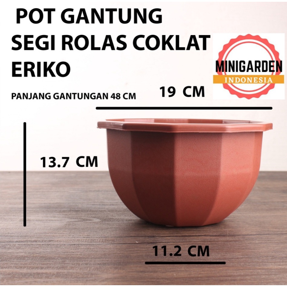 POT GANTUNG SEGI DUABELAS 19CM pot tanaman hias segirolas pot plastik eriko segi rolas pot tempel