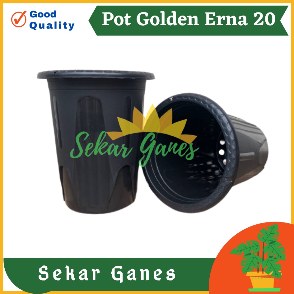 Sekarganes Pot Golden Erna 20 Hitam murah Tanaman