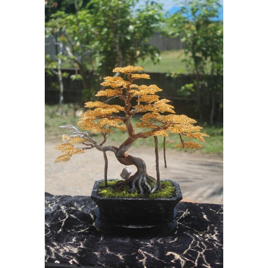 POHON KAWAT BONSAI MURAH