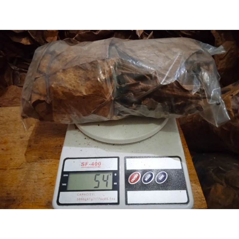 DAUN KETAPANG LAUT 50gram/Murah/isi lebih banyak