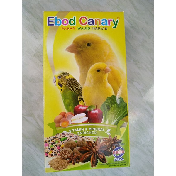 EBOD CANARY KOTAK