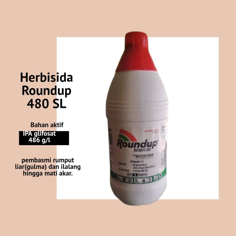 Jual Herbisida Roundup Sl Liter Bahan Aktif Glifosat Memberantas