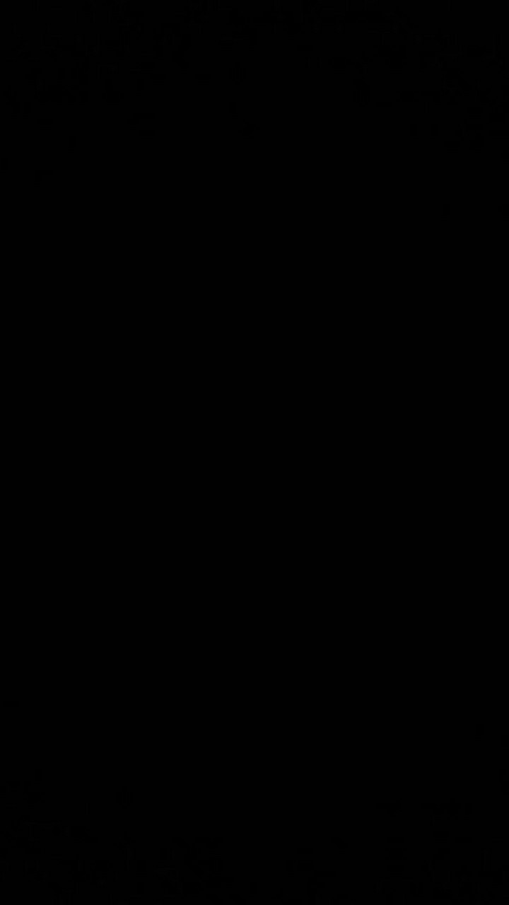 Pisau Acar Stainless Steel