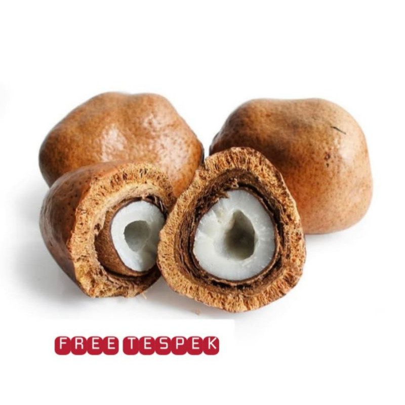 

Buah Zuriat Mesir Promil 1kg Original | Harga Grosir Free Test Pack